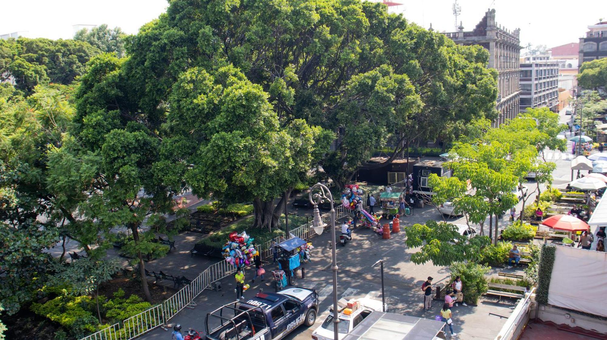 Suites Las Plazas Cuernavaca Exterior photo